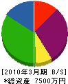 日本海装 貸借対照表 2010年3月期
