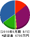 渡辺工業 貸借対照表 2010年6月期