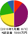 松永組 貸借対照表 2010年5月期
