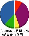 清光塗装 貸借対照表 2009年12月期