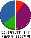瀬川工務店 貸借対照表 2012年9月期