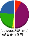 田中設備工業所 貸借対照表 2012年6月期