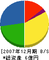 松島エクシス 貸借対照表 2007年12月期