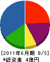 渡辺鉄工所 貸借対照表 2011年6月期