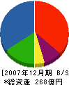 津田産業 貸借対照表 2007年12月期