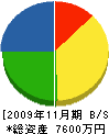 大塚工務店 貸借対照表 2009年11月期