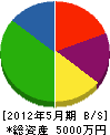 小松園 貸借対照表 2012年5月期