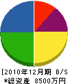 佐藤電気商会 貸借対照表 2010年12月期