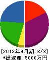 ＊橋総合住設 貸借対照表 2012年9月期