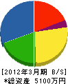 澤工業 貸借対照表 2012年3月期
