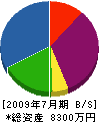 田中興業 貸借対照表 2009年7月期