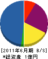 武村建設 貸借対照表 2011年6月期