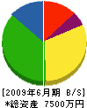 竹山建設 貸借対照表 2009年6月期