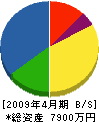 長濱建設 貸借対照表 2009年4月期