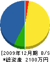 ミヤタ電気商会 貸借対照表 2009年12月期