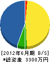 札幌ダイトーテクノ 貸借対照表 2012年6月期