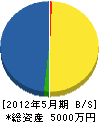 桂建設 貸借対照表 2012年5月期