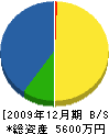 田場組 貸借対照表 2009年12月期