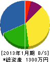 齋藤塗装 貸借対照表 2013年1月期