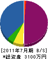 大槻建設 貸借対照表 2011年7月期