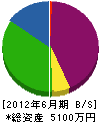 秋山建設 貸借対照表 2012年6月期