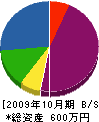 豊電社 貸借対照表 2009年10月期
