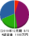 片山電気工業所 貸借対照表 2010年12月期