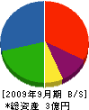 タカフジ興産 貸借対照表 2009年9月期