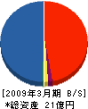 谷村建設 貸借対照表 2009年3月期