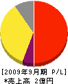 西日本電工社 損益計算書 2009年9月期