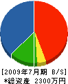 田名網電気 貸借対照表 2009年7月期