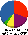 ニシカワデンキサービス 貸借対照表 2007年12月期