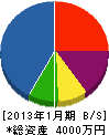 松本設備工業 貸借対照表 2013年1月期