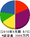 渡辺土建 貸借対照表 2010年9月期