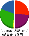 青山装飾 貸借対照表 2010年1月期