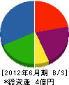 日光総業 貸借対照表 2012年6月期