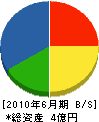 小野組 貸借対照表 2010年6月期