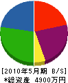 本山建設 貸借対照表 2010年5月期