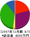 山喜 貸借対照表 2007年12月期