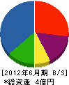 渡辺鉄工所 貸借対照表 2012年6月期