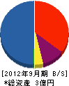 東栄建設工業 貸借対照表 2012年9月期