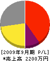 宏電社 損益計算書 2009年9月期