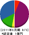 山善 貸借対照表 2011年6月期