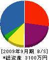笠井電気 貸借対照表 2009年9月期