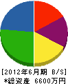 澤井設備 貸借対照表 2012年6月期