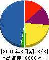 木村電気 貸借対照表 2010年3月期