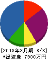 橋本電気工業 貸借対照表 2013年3月期