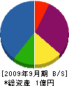 竹田水道工業 貸借対照表 2009年9月期