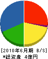 山本建設 貸借対照表 2010年6月期
