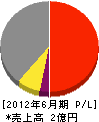 上田建設工業 損益計算書 2012年6月期